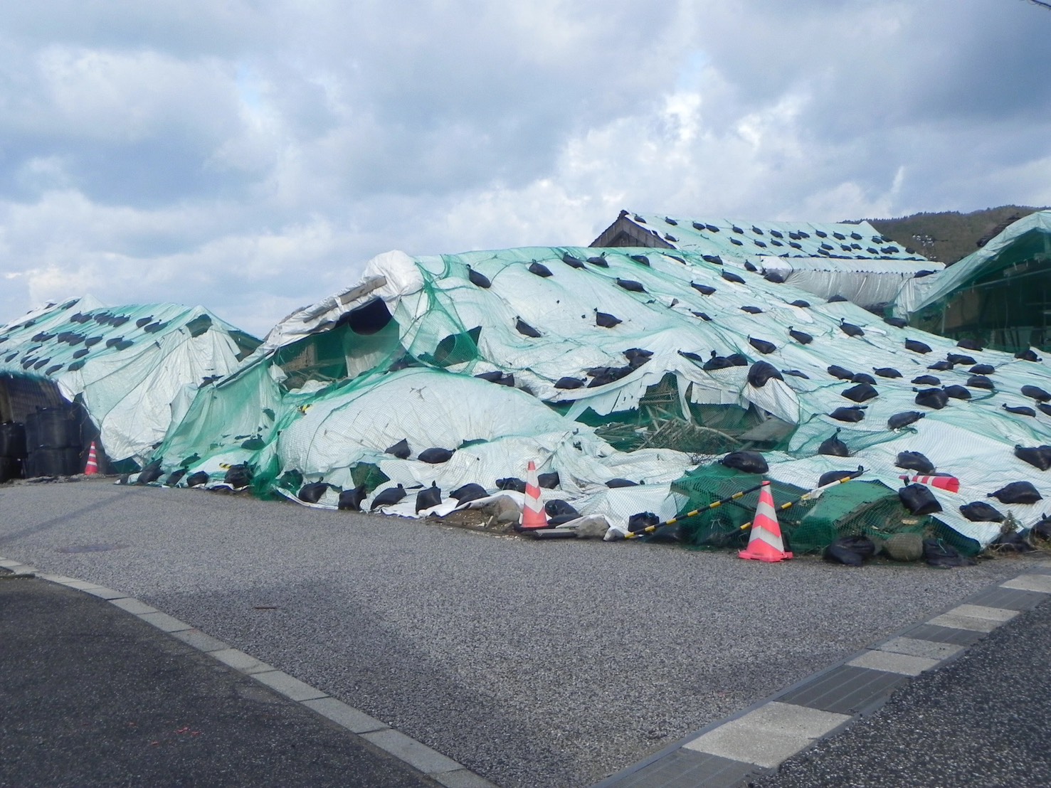 シートで覆われた建物と道路沿いの街並み